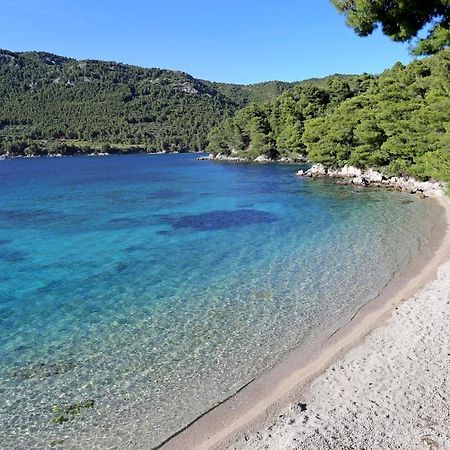 Apartments With A Parking Space Zuljana, Peljesac - 4573 エクステリア 写真